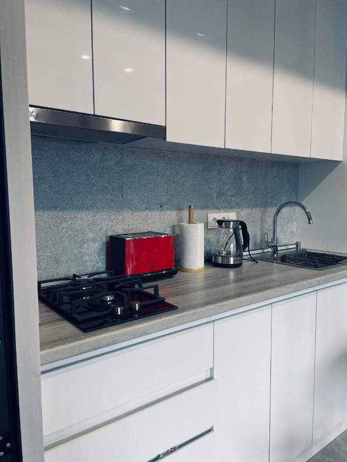 Kazbegi Stylish Apartment מראה חיצוני תמונה